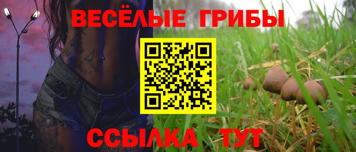 Псилоцибиновые грибы GOLDEN TEACHER  Вход с VPN  Минусинск  Псилоцибиновые грибы Psilocybine cubensis 